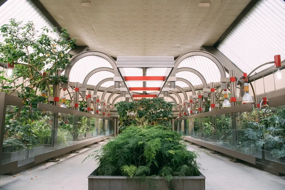 a hotel with a greenhouse inside